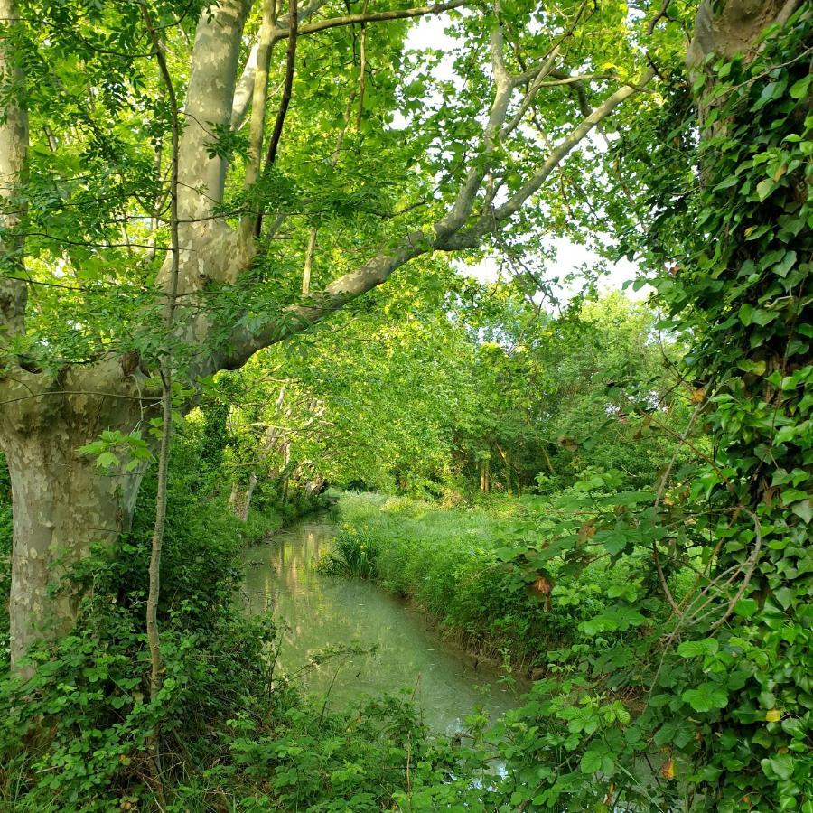 Bastide Philomen Villa Perols